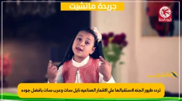 تردد طيور الجنه لاستقبالها علي الاقمار الصناعيه نايل سات وعرب سات بأفضل جوده